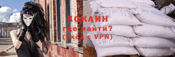 хмурый Гусь-Хрустальный