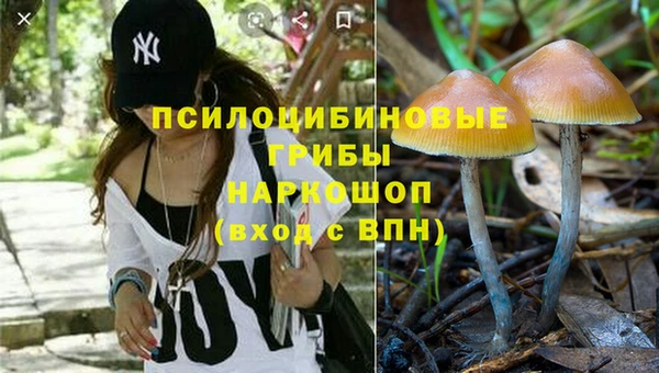 хмурый Гусь-Хрустальный