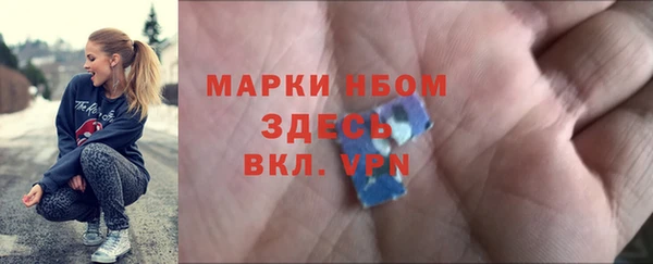 хмурый Гусь-Хрустальный
