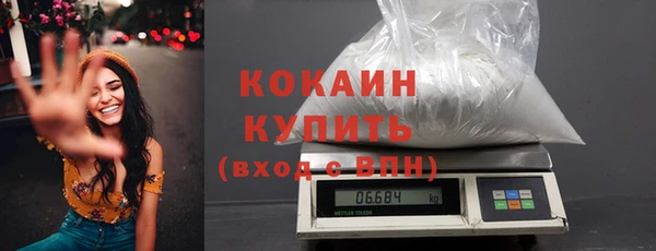 хмурый Гусь-Хрустальный
