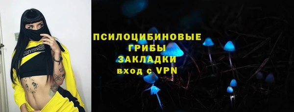 хмурый Гусь-Хрустальный