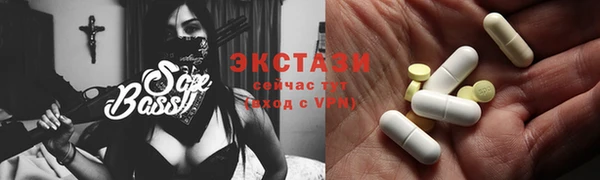 хмурый Гусь-Хрустальный