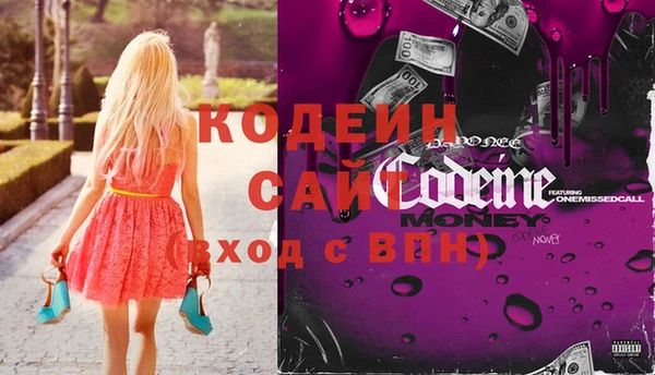 хмурый Гусь-Хрустальный