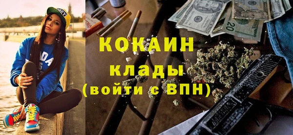 хмурый Гусь-Хрустальный
