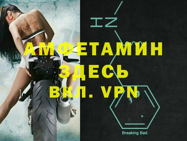 хмурый Гусь-Хрустальный