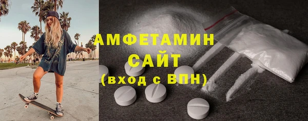 хмурый Гусь-Хрустальный