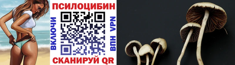 Галлюциногенные грибы MAGIC MUSHROOMS цены Гремячинск